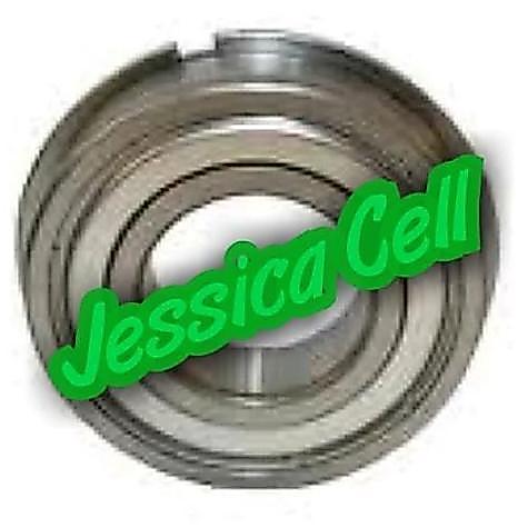 BALL BEARING WITH RING 6001 ZZ NR NTN / 6001ZZ NR NTN HEMAT