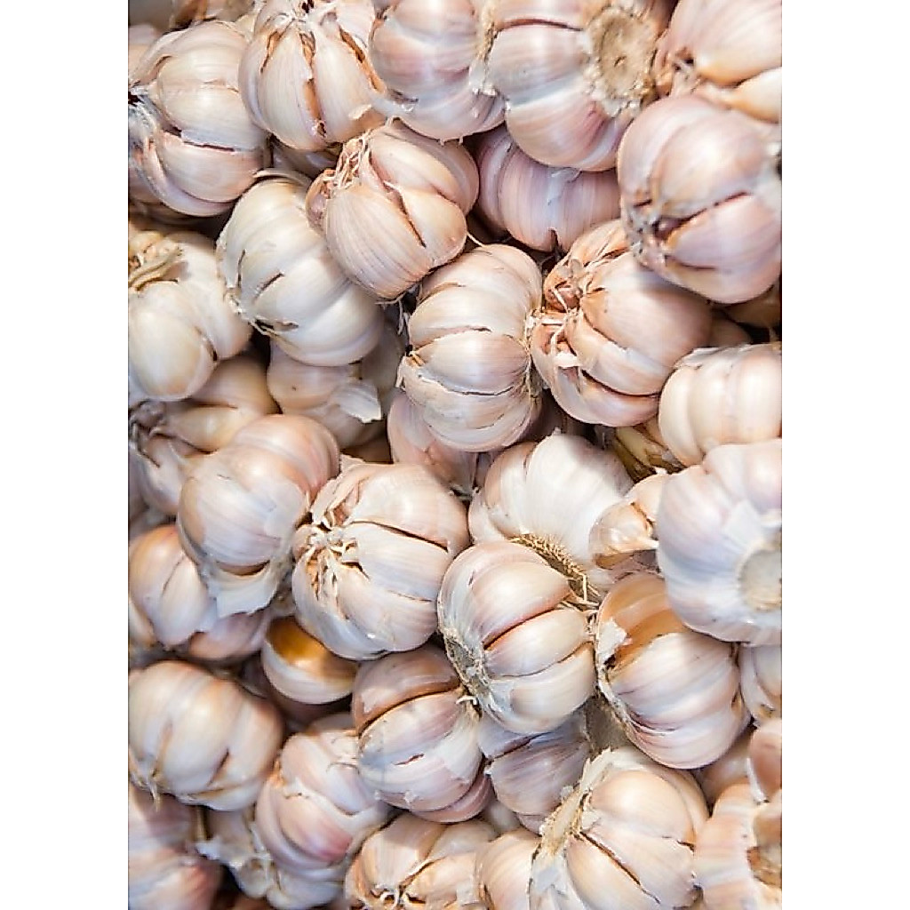 Bawang Putih Super 1kg - Aroma Kuat, Siung Padat, Bersih