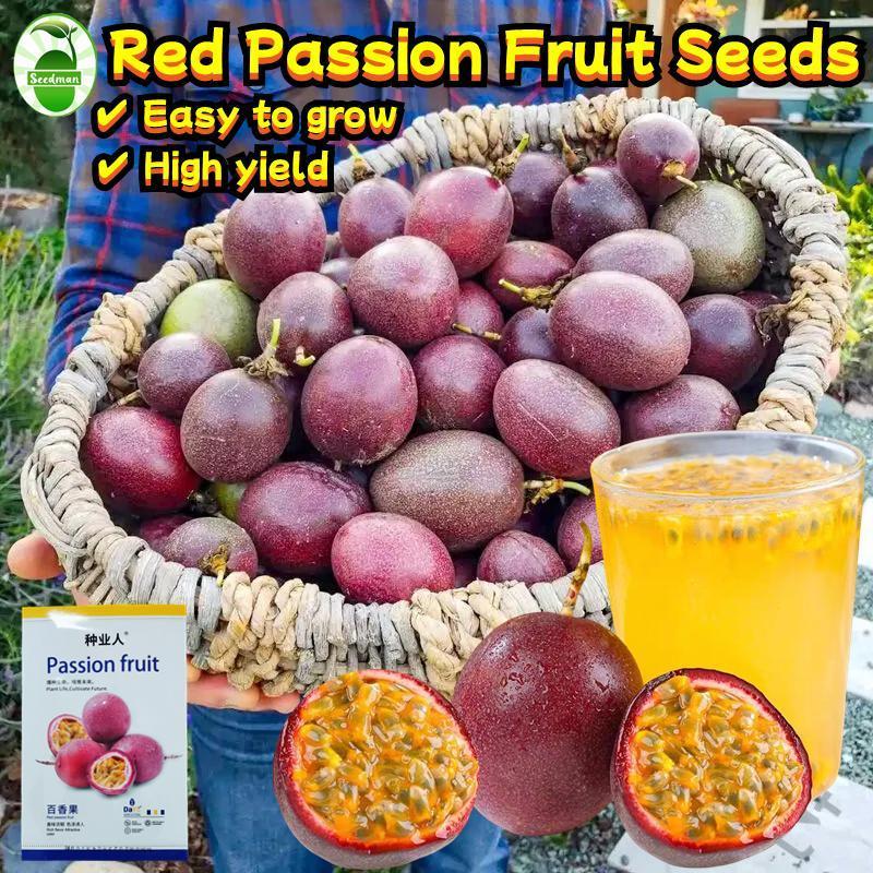 80 Buah/Pak Biji Gairah Merah Manis untuk Tanaman Dalam Ruangan Luar Ruangan Biji Tanaman Gairah Kur