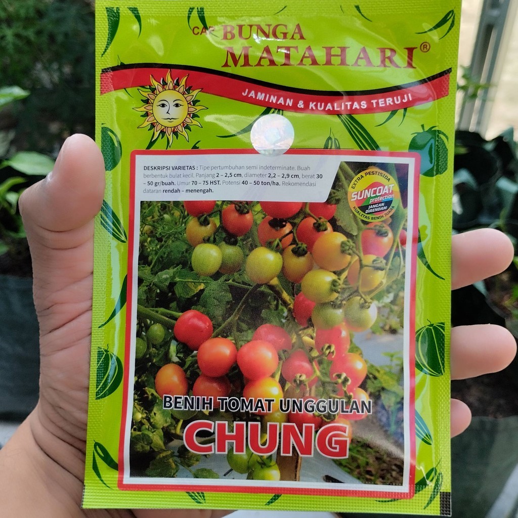 Benih Tomat CHUNG 10 Gram Ceri Cung Kediro Rampai Biji Bibit Cap Bunga Matahari