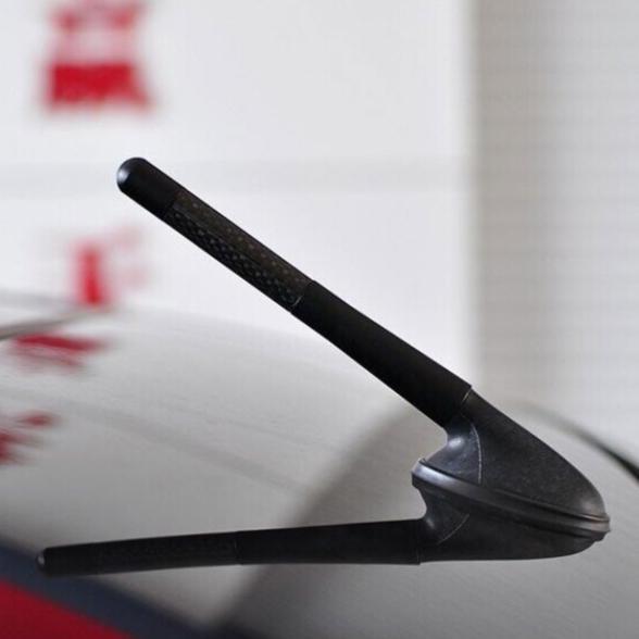 Antena Mobil Universal Antena Radio AM/FM Antena Tempel Atap Mobil