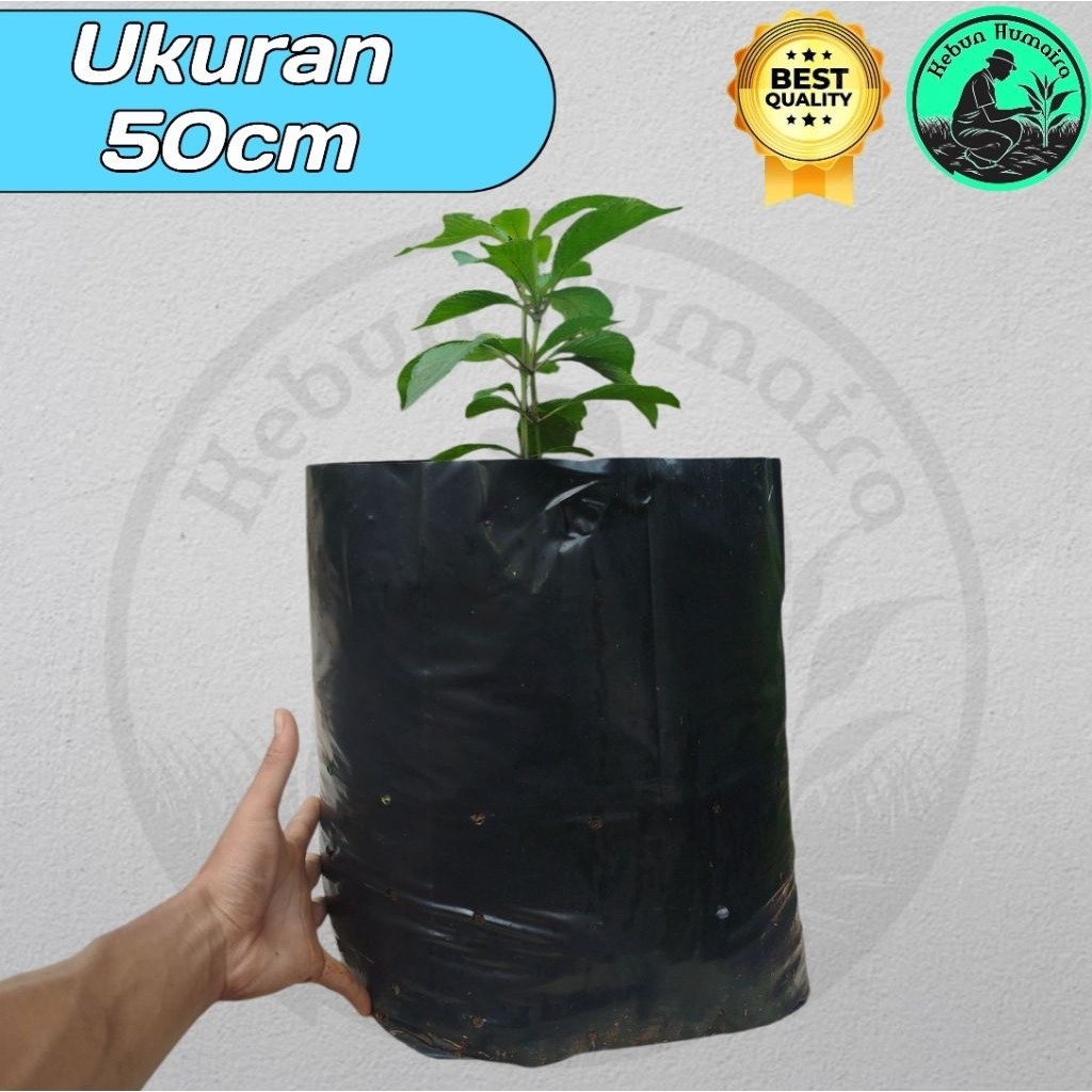 20 LEMBAR Plastik Polybag BESAR Ukuran 40Cm Polybag Untuk Tanaman Hias,Buah Dll Tebal Awet