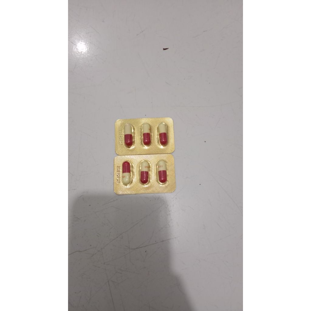( SPECIAL PROMO ) Herbal cina (Nangen) stamina 3 kapsul original FOR MAN