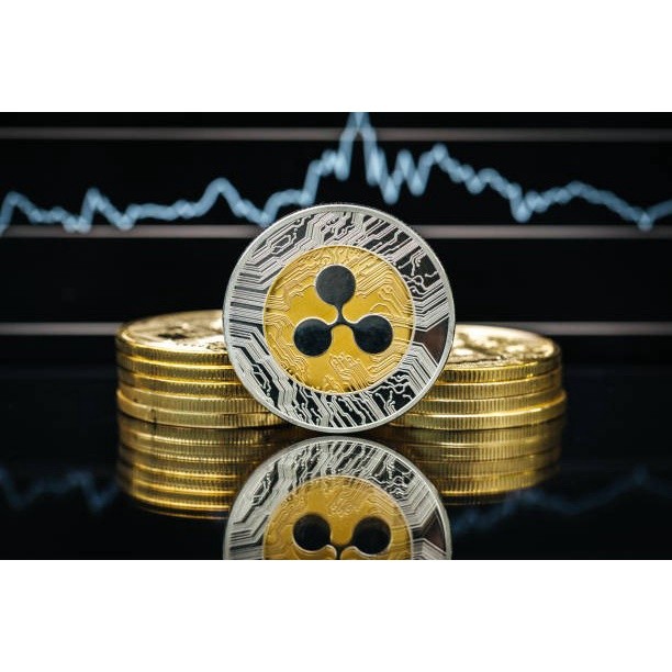Coin Koin Fisik Crypto Seni Doge Ethereum Shiba Ripple Bitcoin Binance Koin