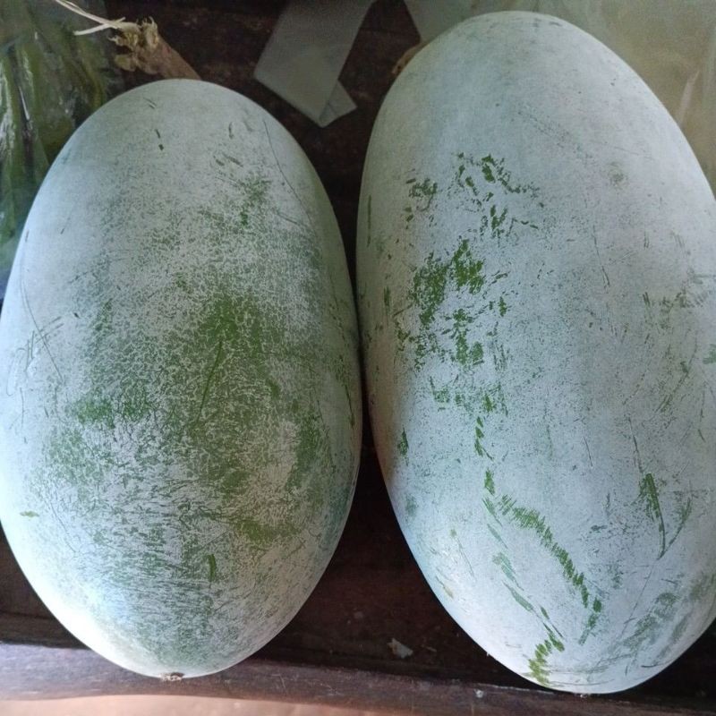 Buah Kundur / Buah Labu Air / Bligo