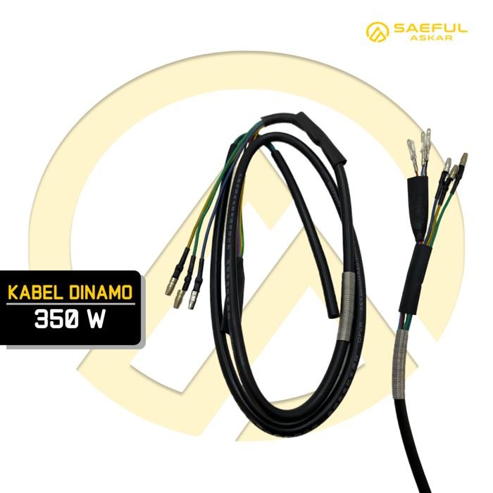 Kabel Motor Dinamo Sepeda Listrik Motor Listrik Roda Tiga - 350 Watt