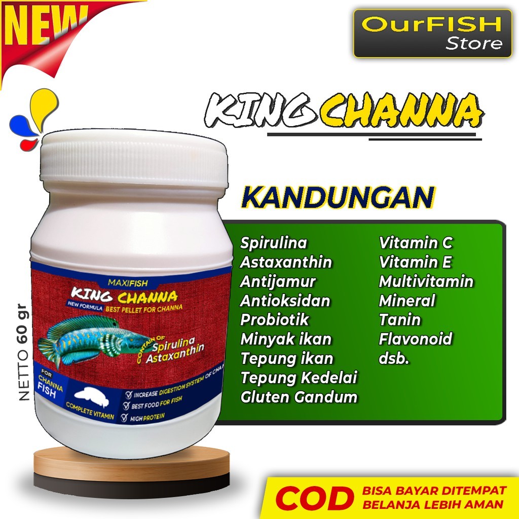 Terbaru OURFISH - Pelet Pakan Ikan Channa Kingchanna Maru Auranti Blue Pulchra Andrao Asiatica Barca
