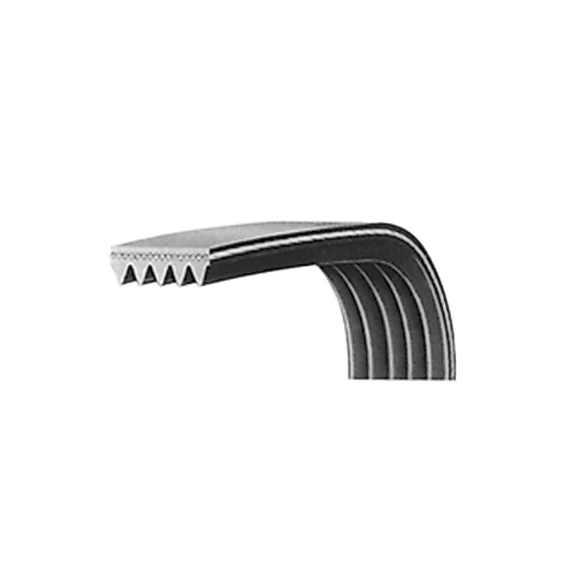 Best Seller Multi-ribbed belts 5PK1030 PK1039 PK1040 PK1060 PK1070 PK1080 PK1085 Rubber Rib Belt