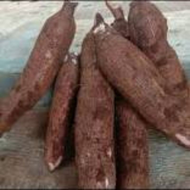stek singkong manggu