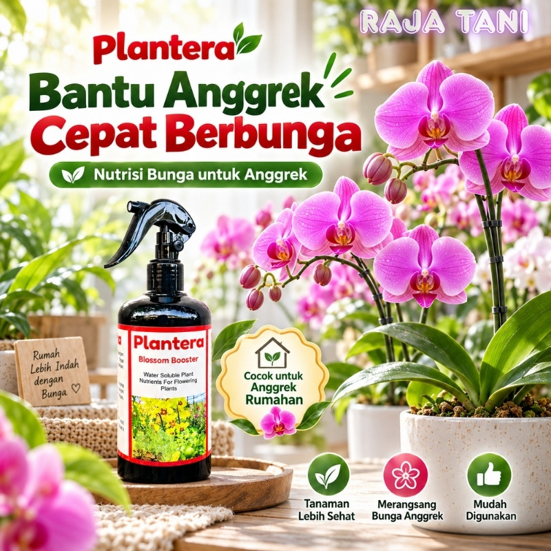 Plantera Blossom Booster 500ml Pupuk Anggrek Perangsang Bunga Cepat Berbunga Nutrisi Tanaman Hias RA