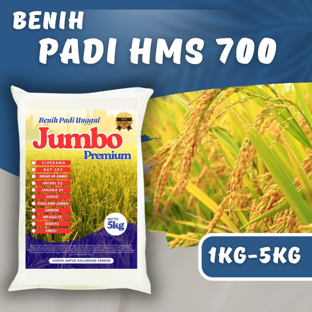 Benih padi Unggul Hms 700 kemasan 1kg - 5kg padi Unggul HMS 700 Berkualitas Super