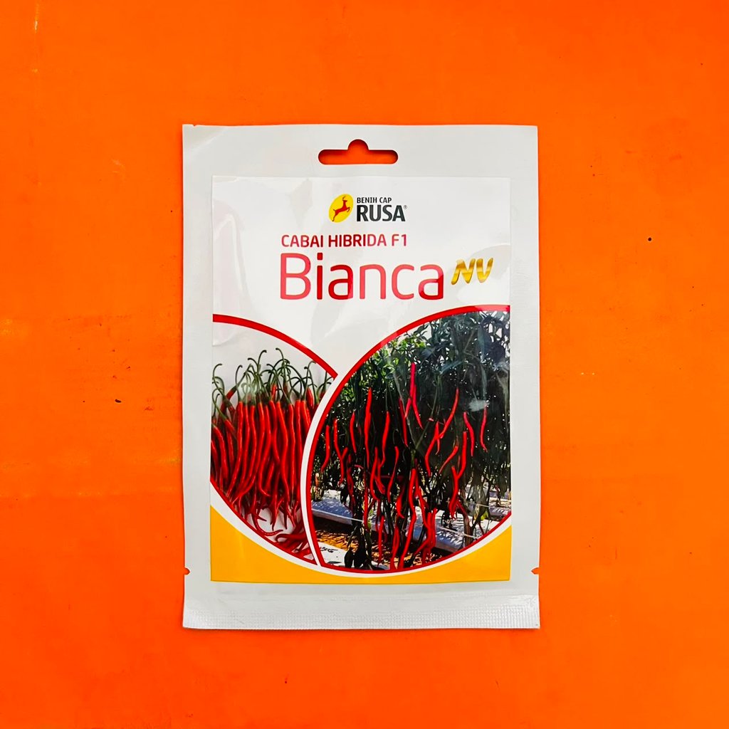 Benih cabai keriting buah lebat hibrida BIANCA NV isi 10gr dari CAP RUSA