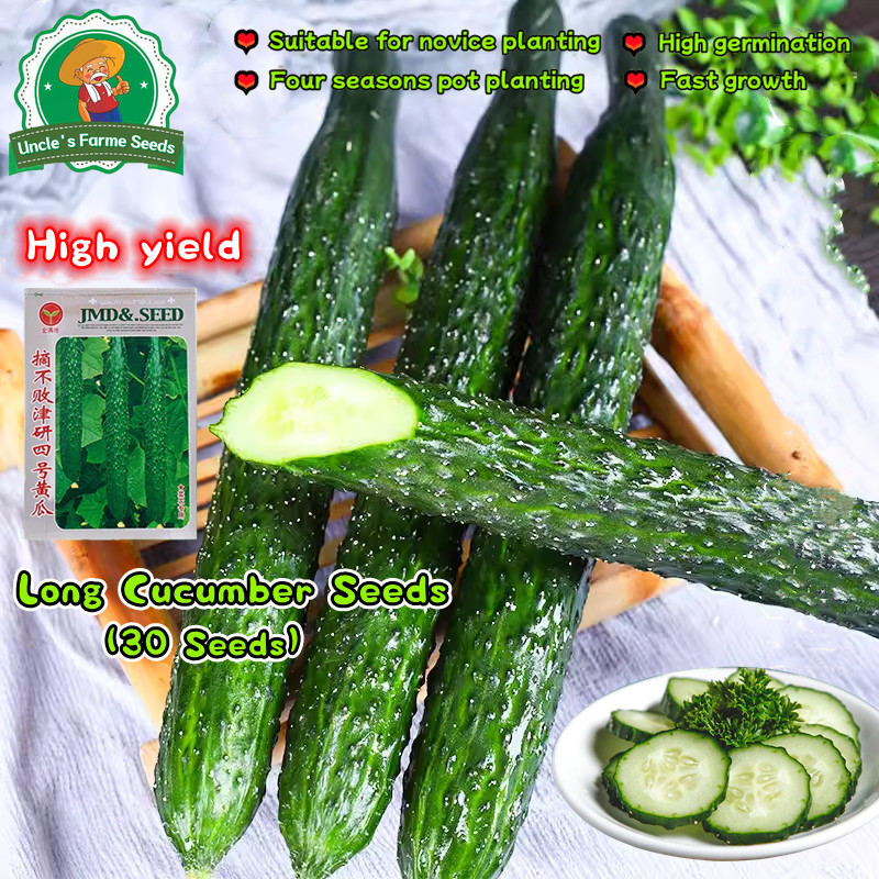 30pcs/pack Fresh Organic High Yield Long Cucumber Seeds for Planting Vegetables Plants Green Cucumbe