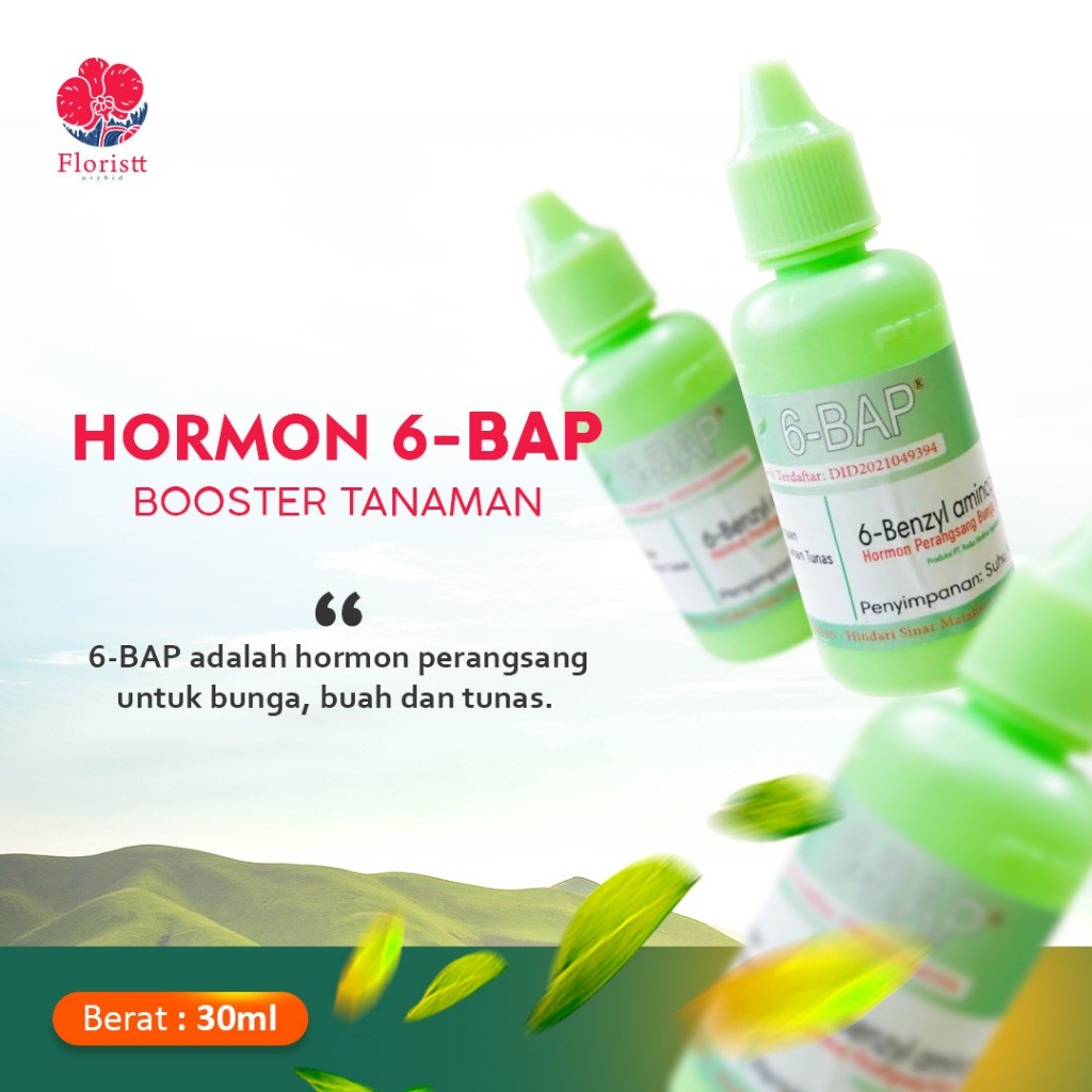 Pupuk Hormon Pertumbuhan 6-BAP Original