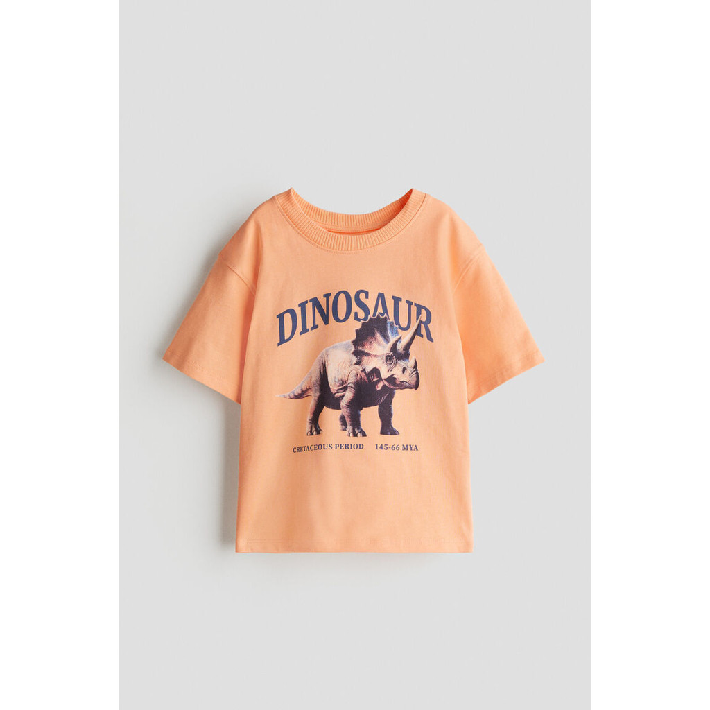 H&M Bayi Laki-Laki Kaos Motif Cetak 1241007