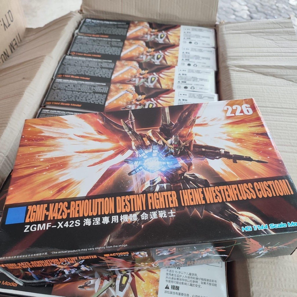 HG Revolution Destiny Heine Westenfluss ZGMF-X42S 226 High Grade