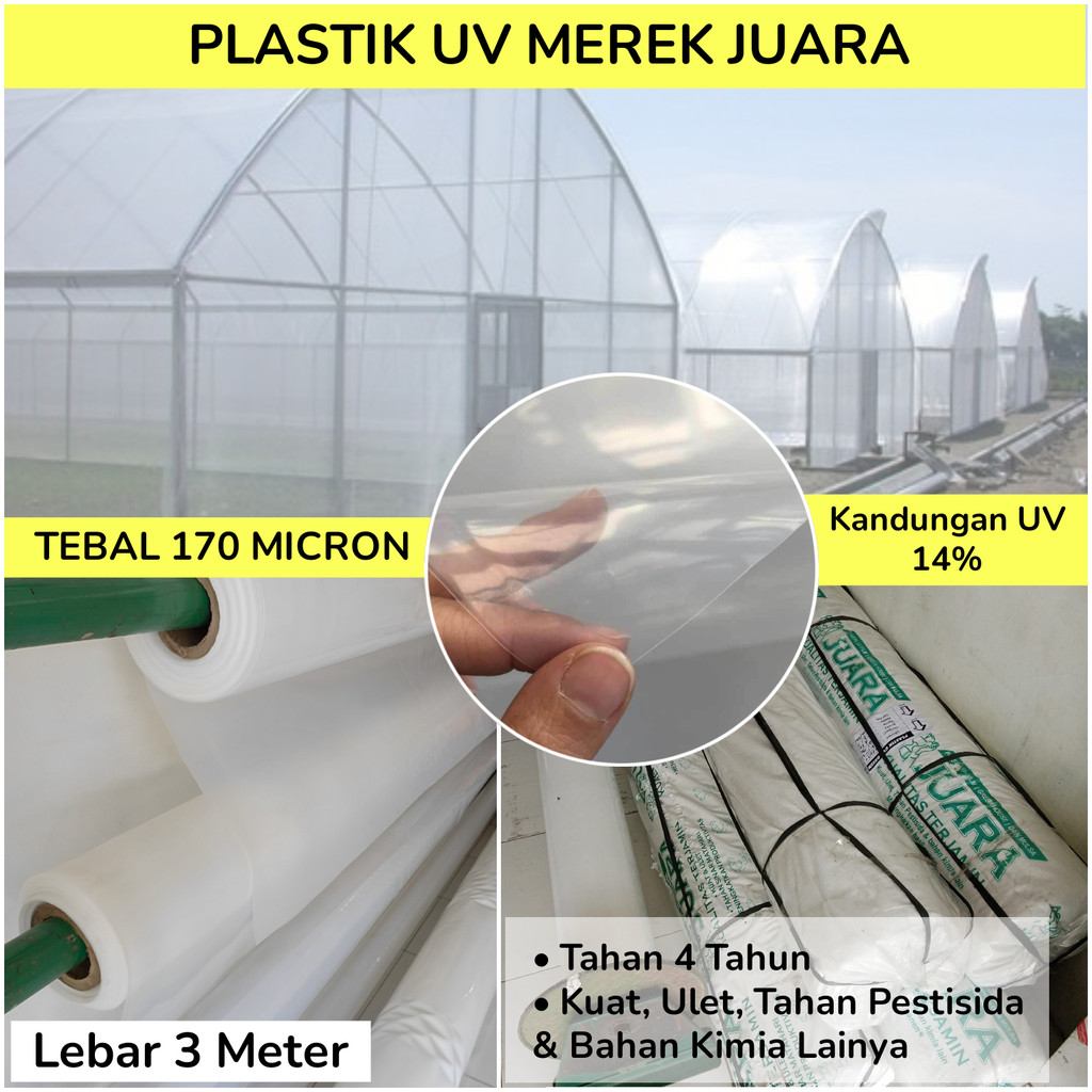Plastik UV JUARA 14% Lebar 3 Meter Tebal 170 Micron Pelastik Yupi Untuk Atap Green House Hidroponik