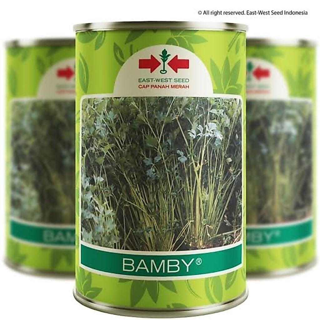 Seledri Bamby 50 gr (kaleng)