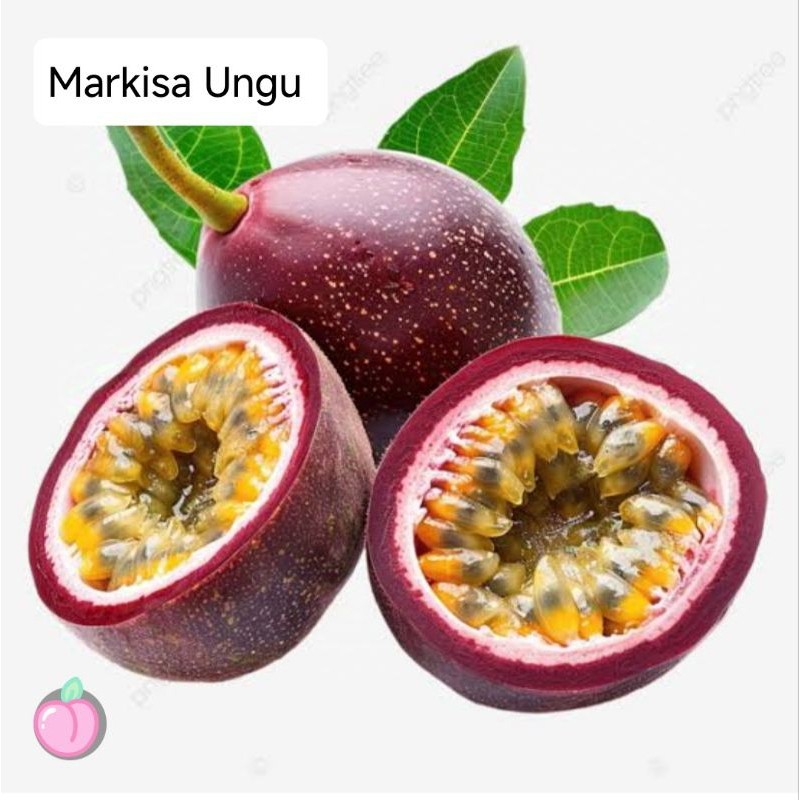 Benih Markisa Ungu Super Manis ( 10 benih )