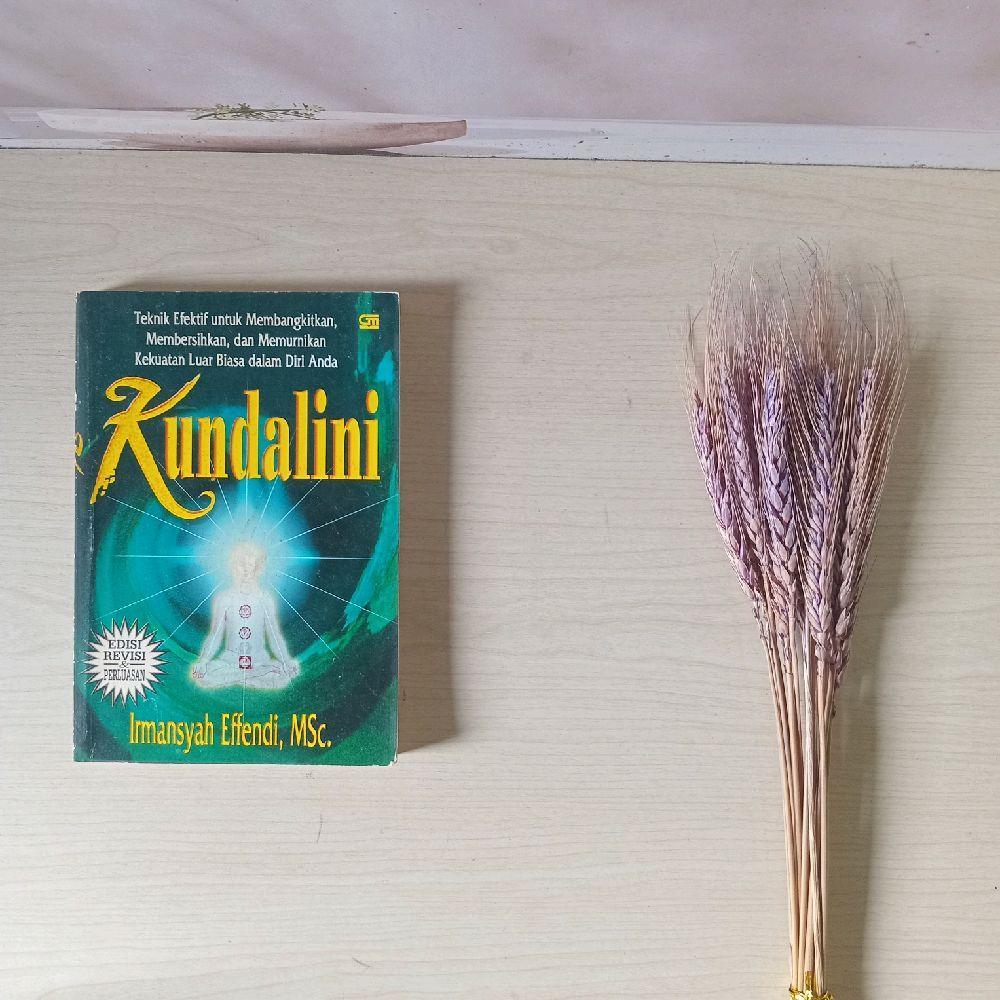 Buku Kundalini - Irmansyah Effendi