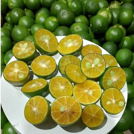 

Jeruk sonkit kualitas super jeruk kasturi jeruk kunci jeruk lemon cui jeruk peras bogor 500gr