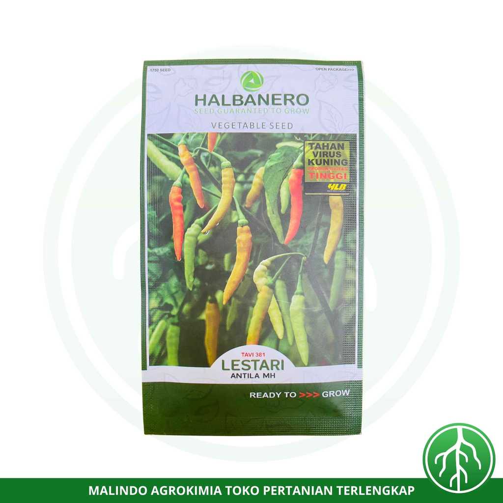 Benih Cabai Rawit LESTARI 10gram dari HALBANERO
