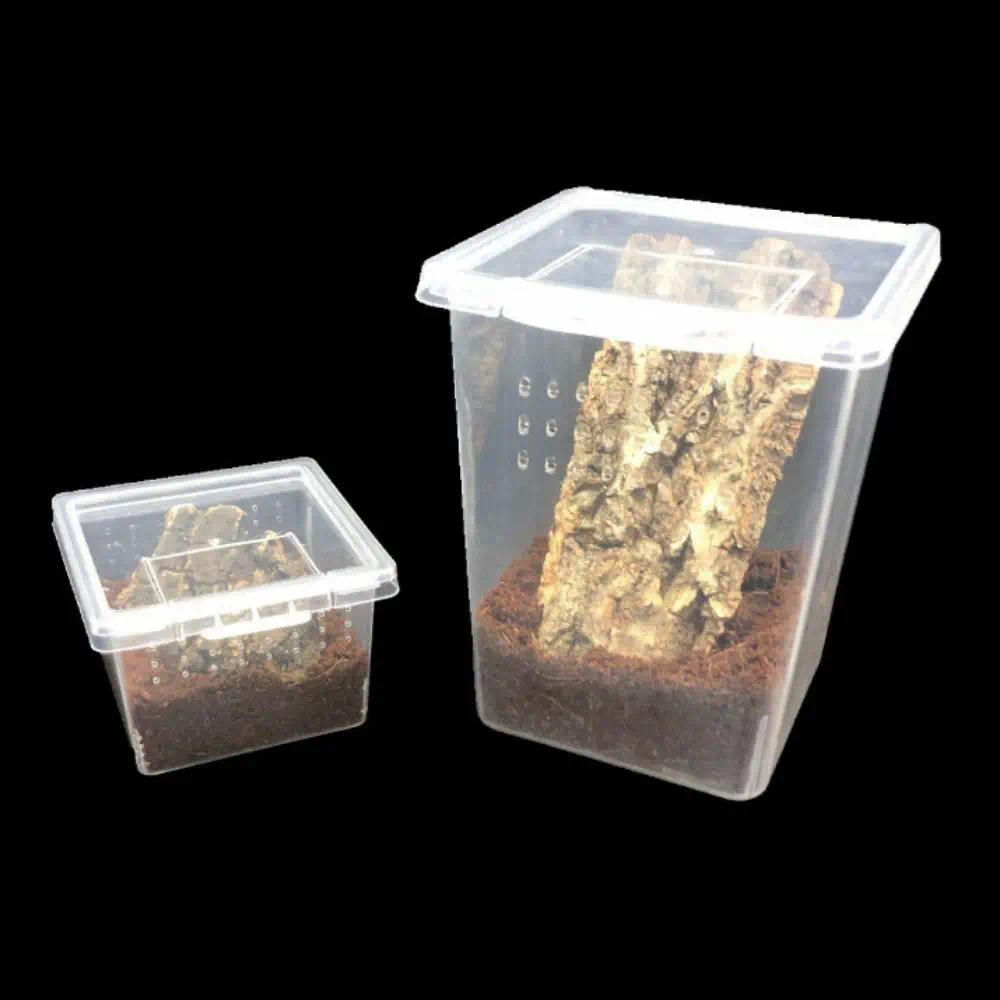 1 Buah Kotak Hidupan Reptil Plastik Transparan, Terarium Reptil untuk Tempat Berhiasan Kalajengking,