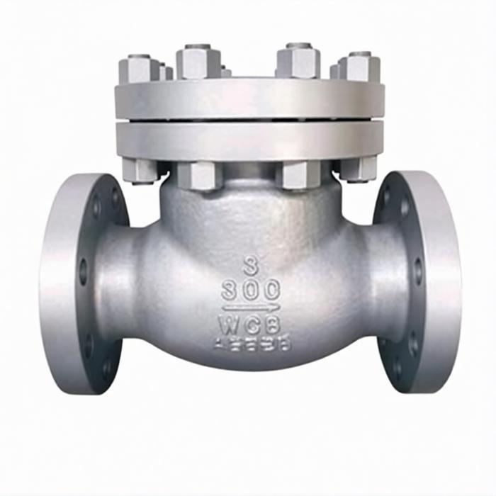 SWING CHECK VALVE 5" INCH ANSI 300 WCB