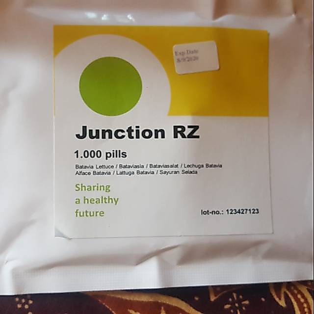 Benih Selada Keriting Rz Junction 100 Pil Tanaman bibit