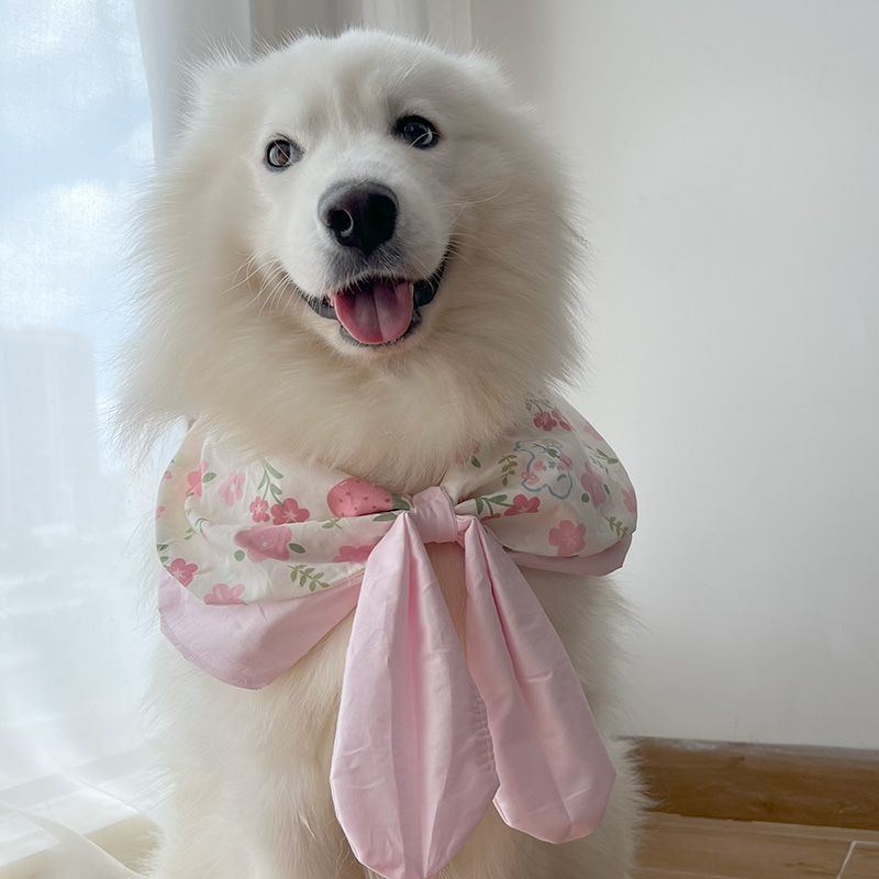 [Pet Wardrobe] Syal dasi kecil Samoyede stroberi perhiasan aksesori dekoratif dengan kancing