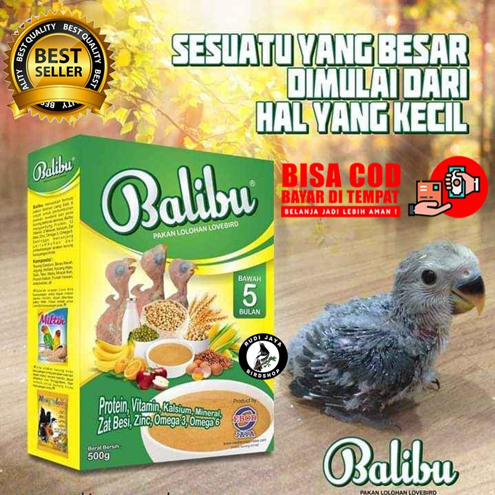 BALIBU EBOD JAYA PAKAN MAKANAN BUBUR ANAKAN BURUNG LOLOHAN PIYEK LOVEBIRD FALK HAND FEEDING SPET
