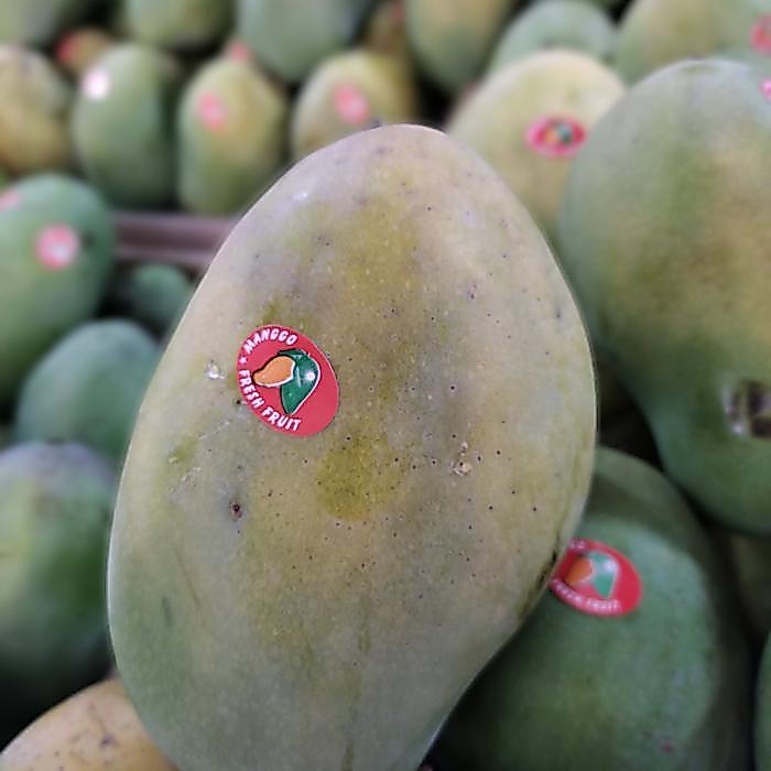 Mangga harum manis super ( 1 kg )