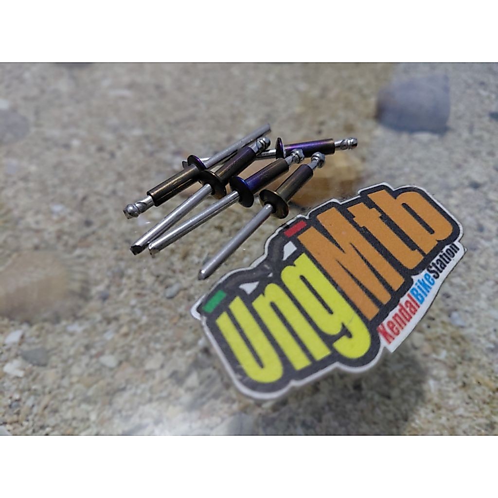 paku rivet titanium 5mm silincer titanium paku rivet knalpot titanium ninja paku titanium knalpot rx