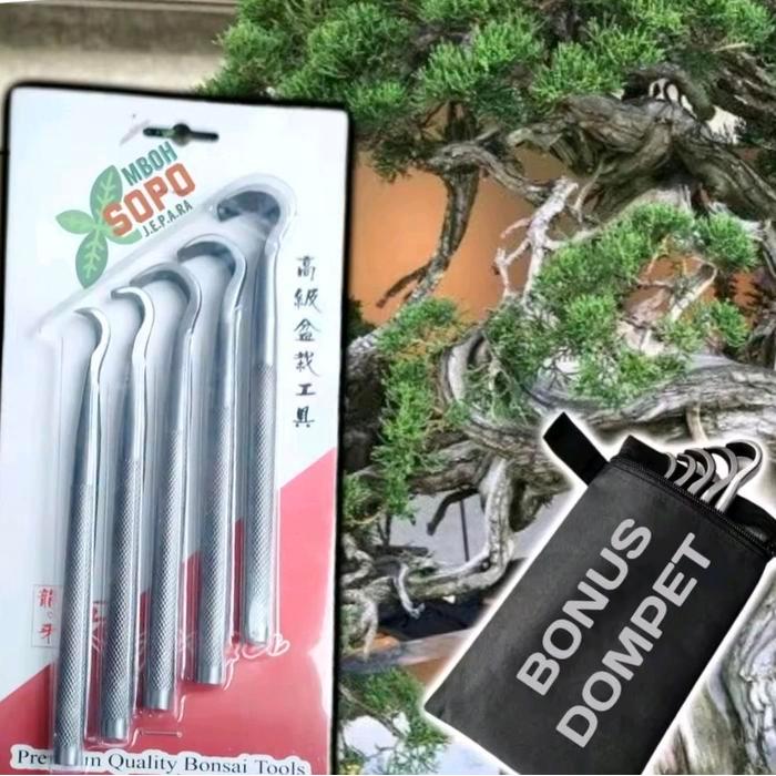 Alat Bonsai, 1 Set Alat Ukir Ryuga, Pahat Jin Bonsai, Carving Tool's Ryuga CTA - -, -
