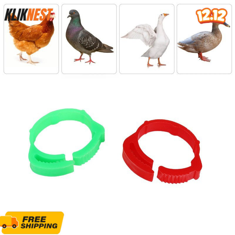 Isi 50 Gelang Kaki Anak Ayam Cincin Kaki Ayam Ring Ayam Bangkok Gelang Ayam Kaki Gelang Kaki Ayam