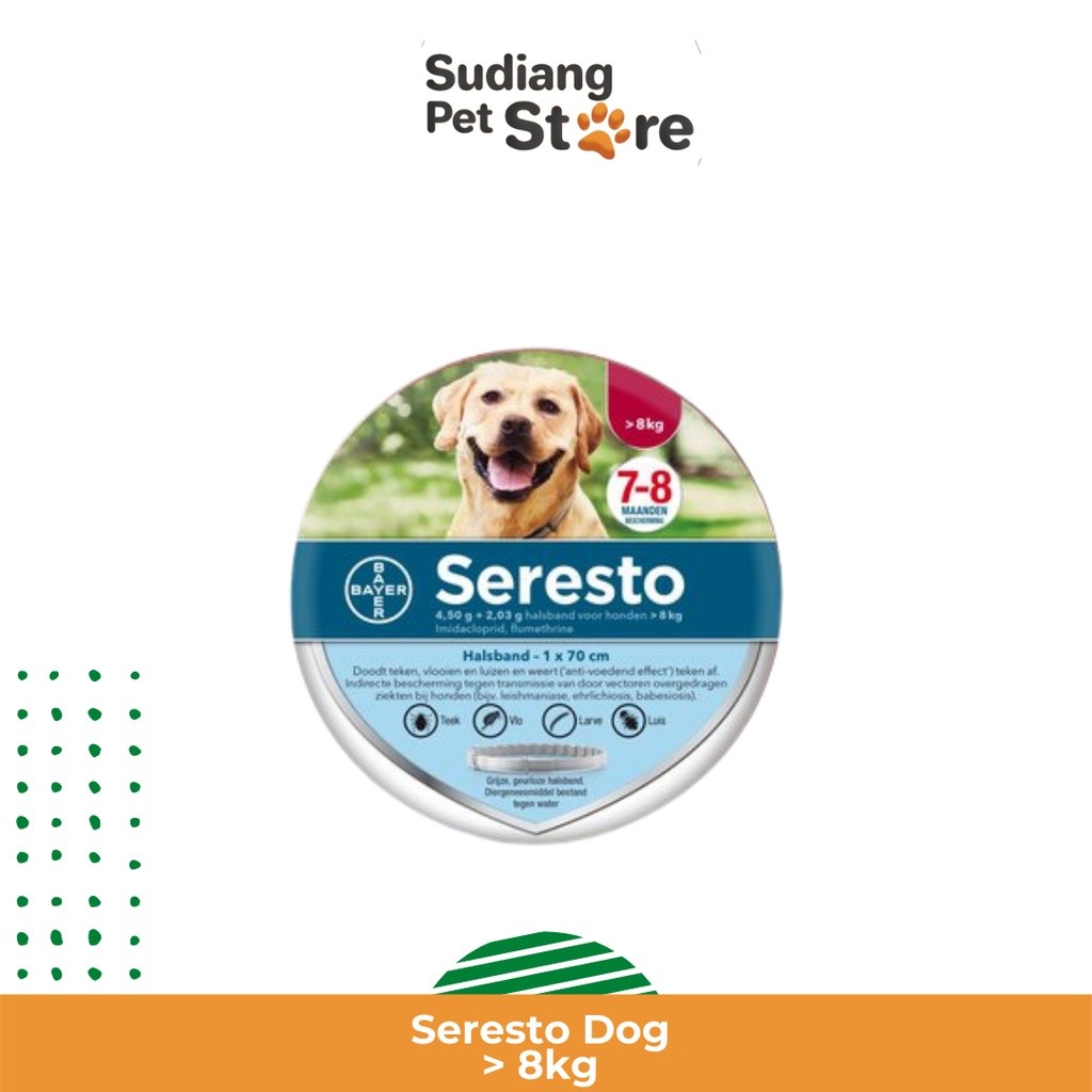 Kalung Anti Kutu Anjing Seresto Flea Tick Dog Collar