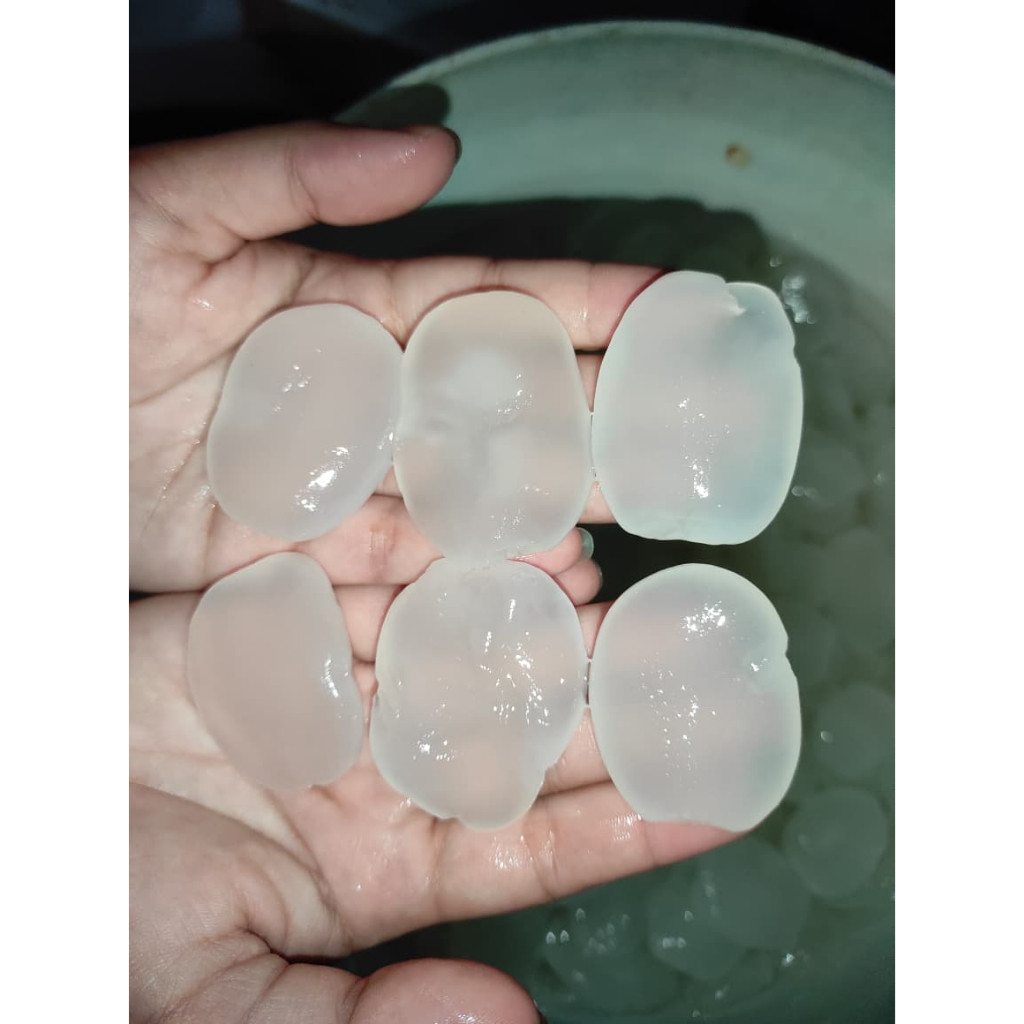 Kolang Kaling Super Fresh 1kg - Kolang kaling Jumbo