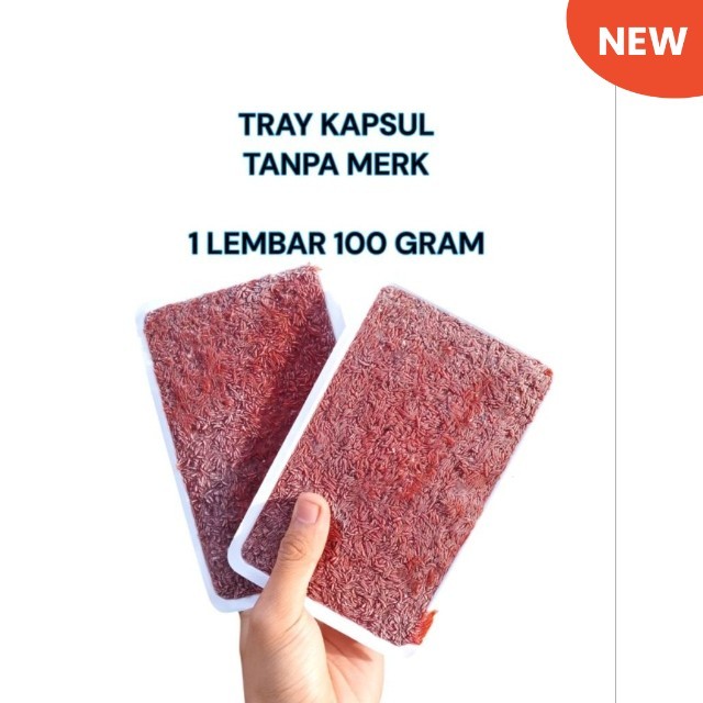 Cacing beku kapsul tray tanpa merk 100 gram 5 pcs / cacing beku / cacing beku tray / cacing beku kap