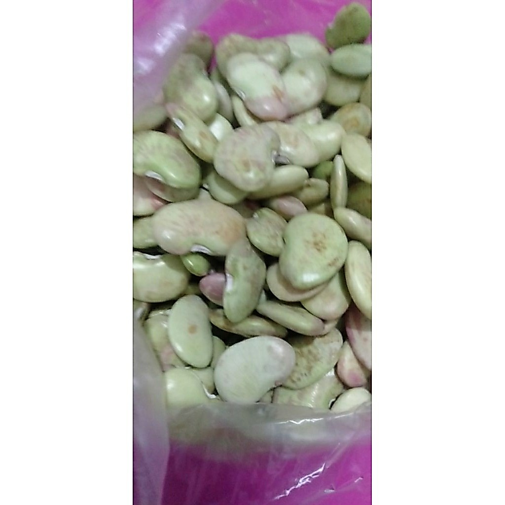Sayur kacang Koro hijau mentah