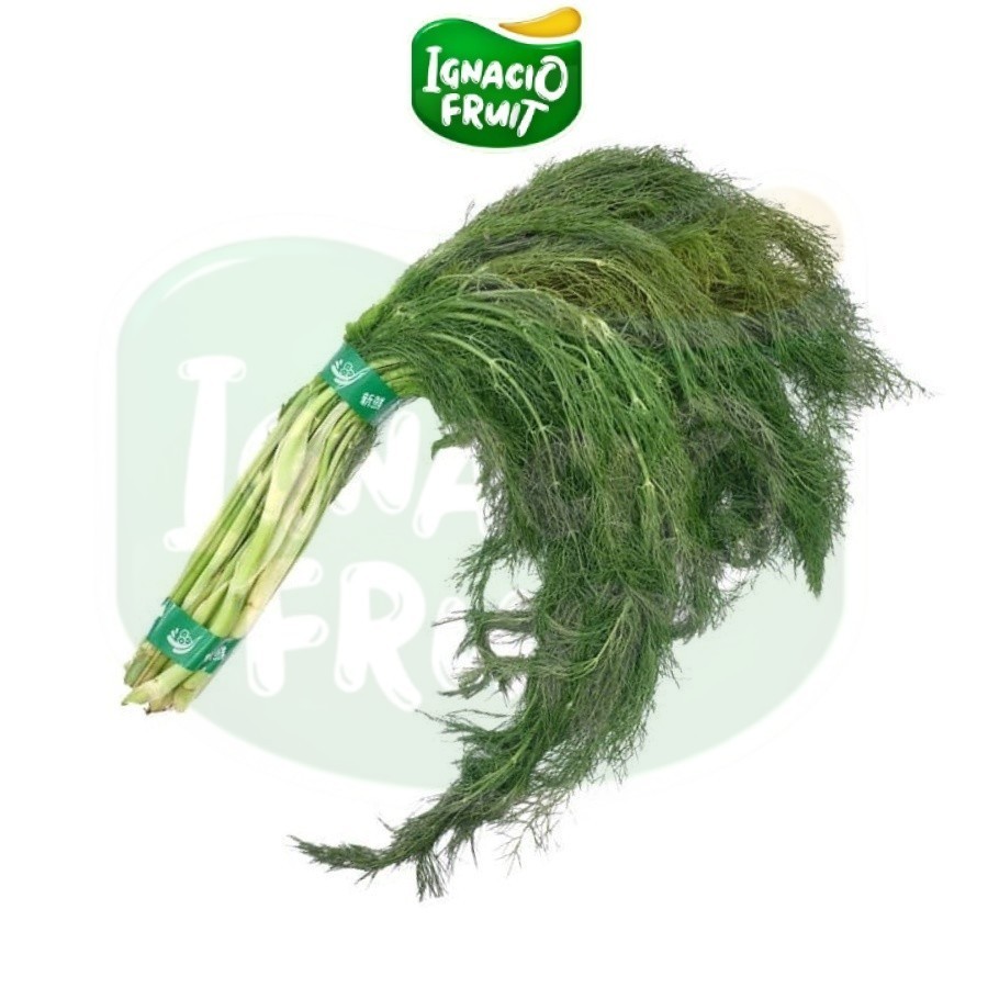 [Instant] Daun Dill 250gr  -SAMEDAY  - BUAH - SAYUR - FRESH -IGNACIO FRUIT BOX