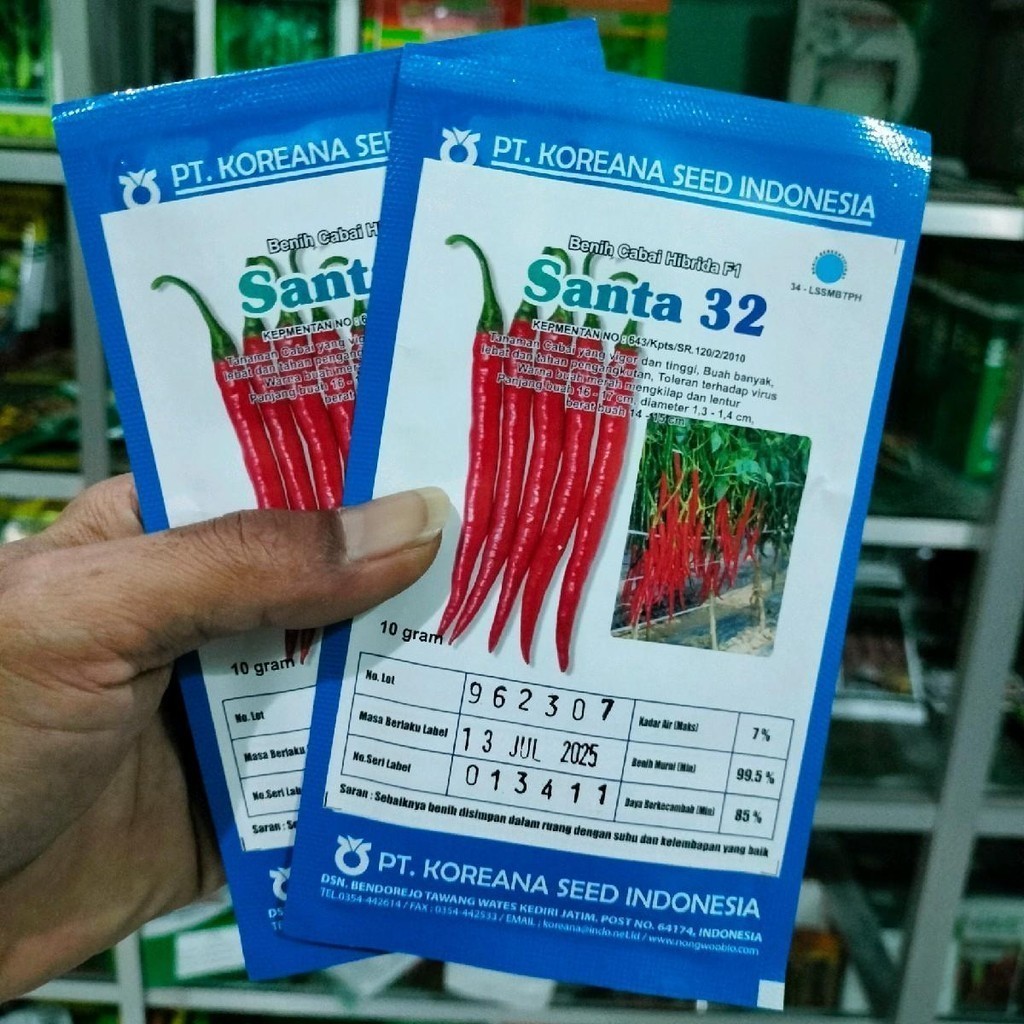 Santa 32 F1 Benih Cabe Hibrida 10gr Asli Koreana Seed