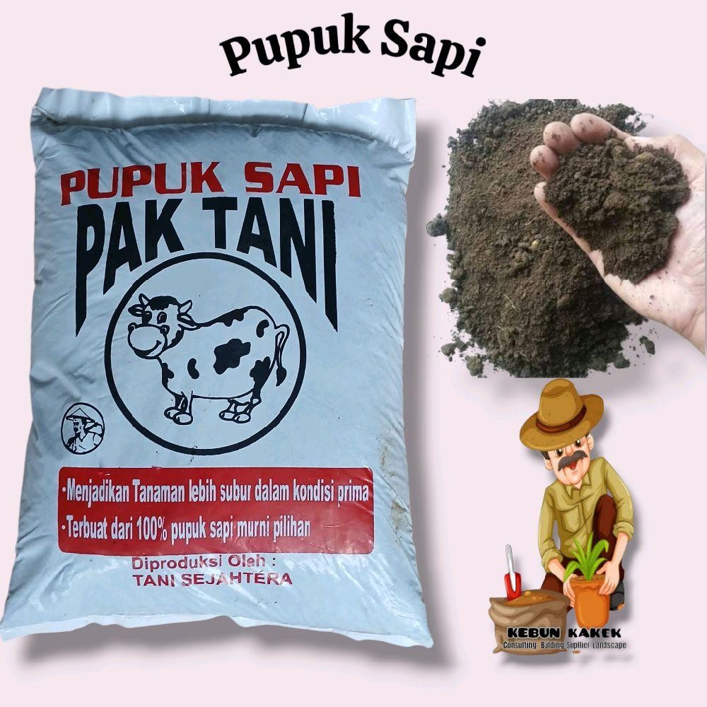 Pupuk Sapi / Media Tanam Pupuk Sapi / Pupuk Kandang Sapi