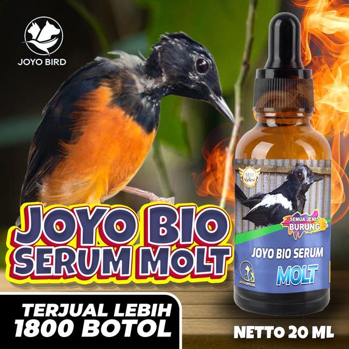 [ burj9iil1v ] || VITAMIN BURUNG MABUNG | MENGATASI BULU TIDAK TUNTAS | MOLTING | GAGAL MABUNG | PER