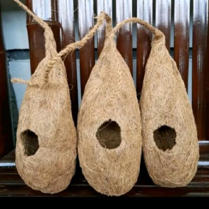 sarang burung lovebird glodok kandang burung