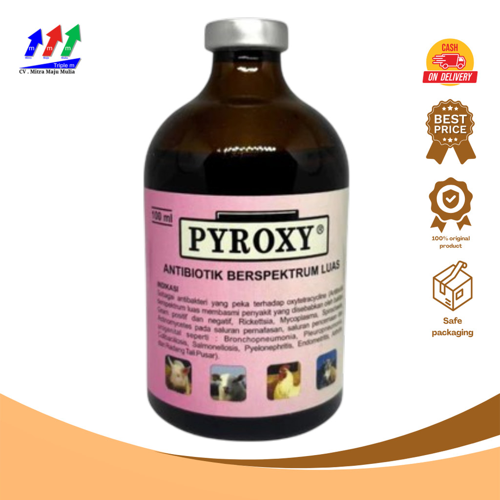 PYROXY antibiotik hewan