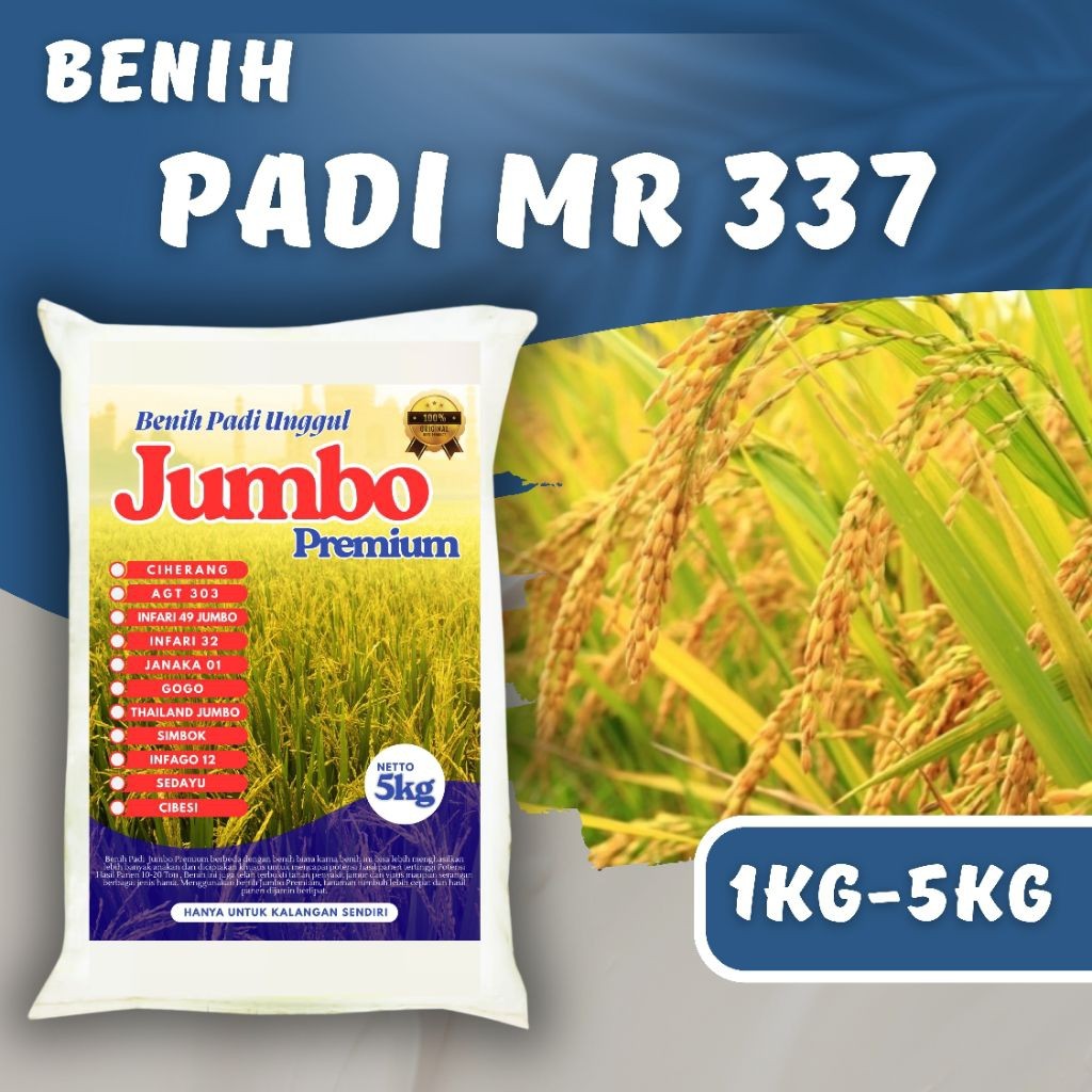 BENIH PADI UNGGUL MR 337 Kemasan 1kg - 5kg  PREMIUM  Benih padi mr 337 Berkualitas Super