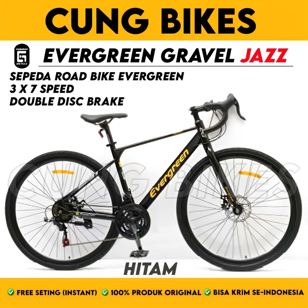 Sepeda Roadbike EVERGREEN RAPIER 208 R 700C Road Bike frame Alloy 2 x 8 Speed