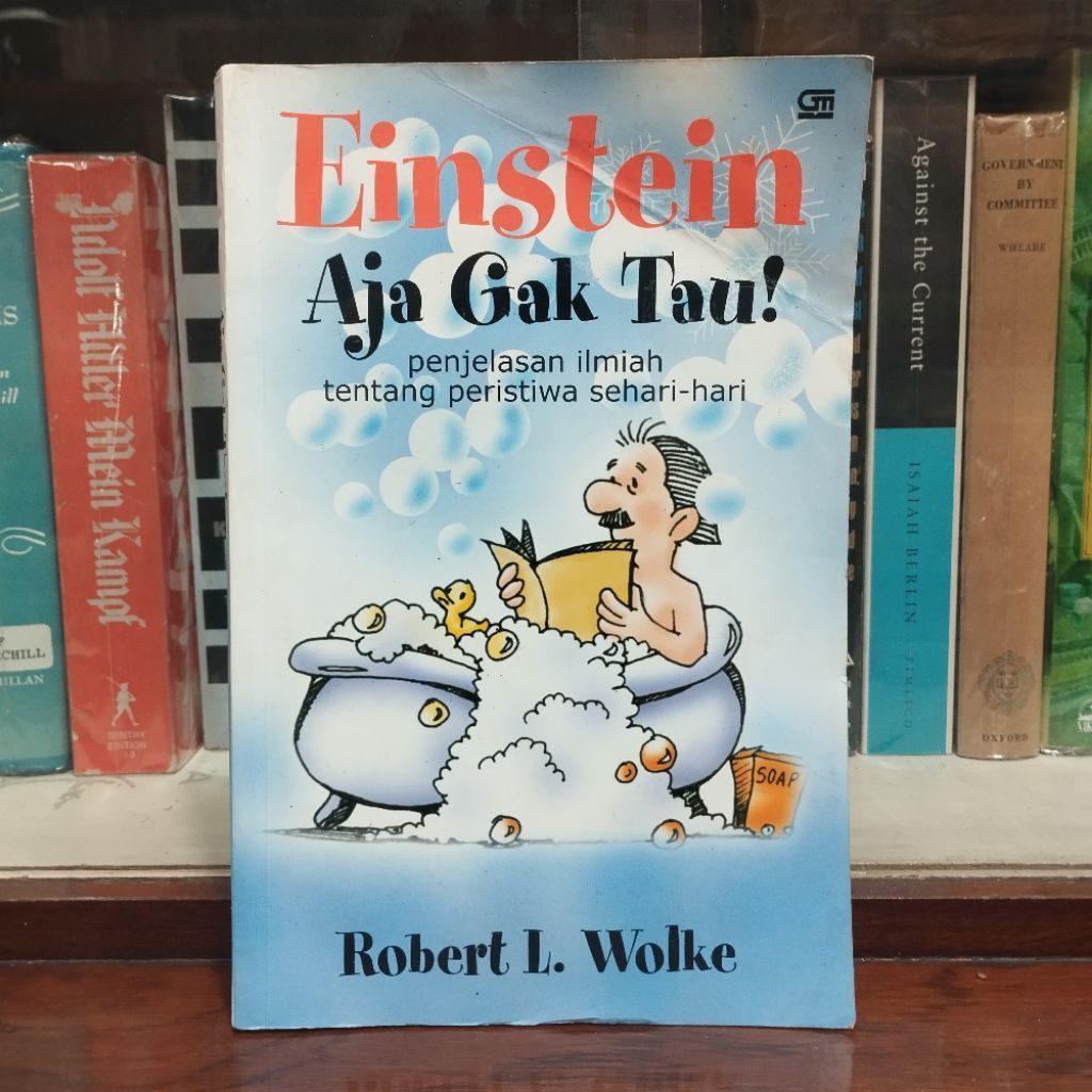 Einstein Aja Gak Tau - Robert L Wolke