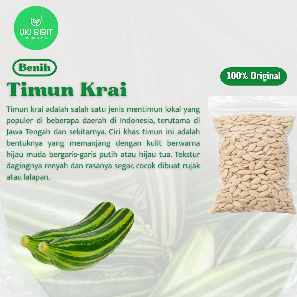 ( 500 Butir ) Benih Biji Timun Krai | Timun Krai Lalap | Mentimun Krai