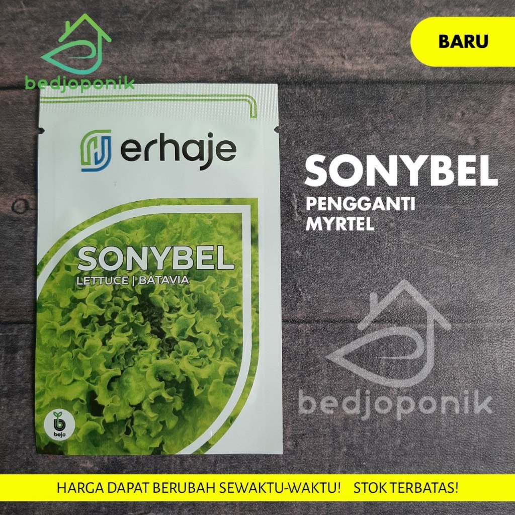 Benih SONYBEL 1gr Sonybel bejo Benih Selada bejo Benih selada import Sonybel Pengganti Benih Myrtel